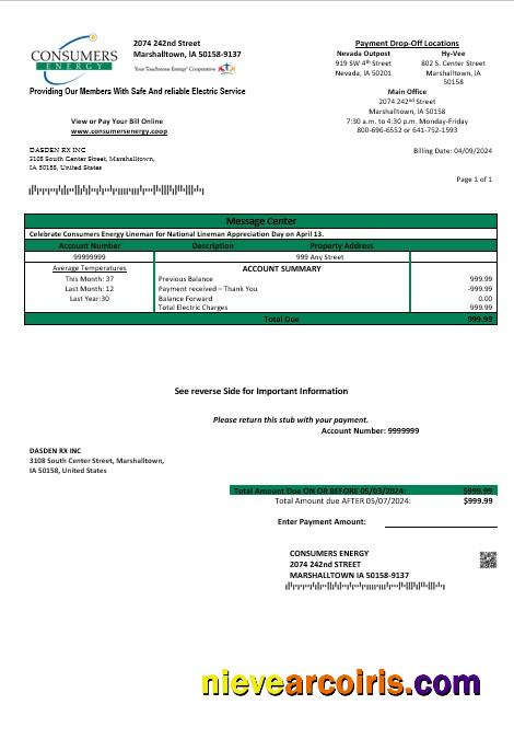 USA Iowa Consumers Energy business utility bill